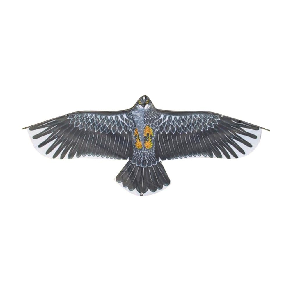 1.1m Eagle Kite With 30m Kite  - Outdoor Sports Accessories avis et prix