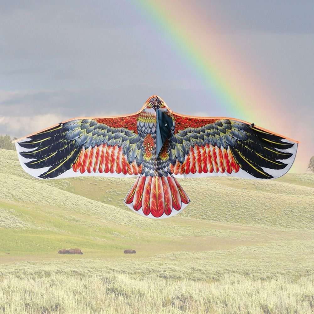 1.1m Eagle Kite With 30m Kite  - Outdoor Sports Accessories avis et prix